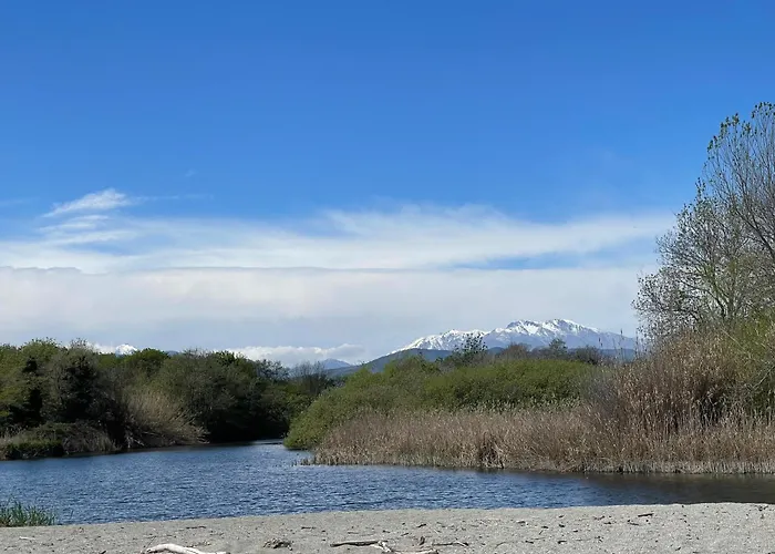 Bord De T4 Marina Di Bravonne N5-6 Linguizzetta